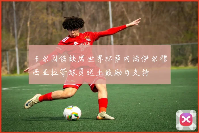 卡尔因伤缺席世界杯萨内诺伊尔穆西亚拉等球员送上鼓励与支持