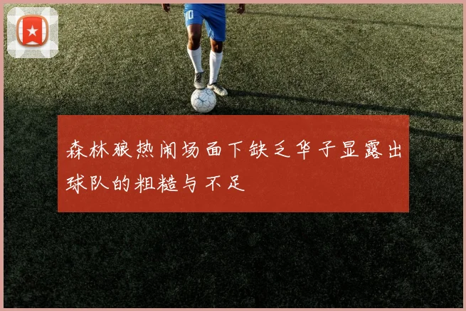 森林狼热闹场面下缺乏华子显露出球队的粗糙与不足