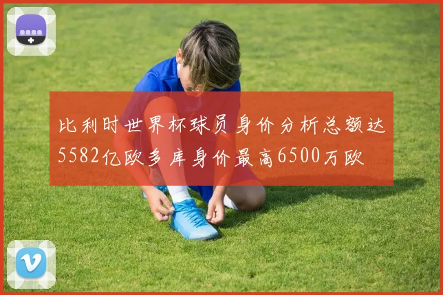 比利时世界杯球员身价分析总额达5582亿欧多库身价最高6500万欧